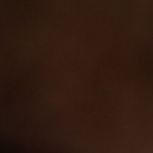 Meet your Posher, Bella